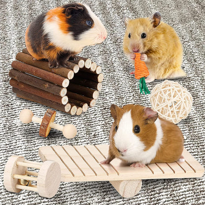 Hamster toy training molar teeth cleaning