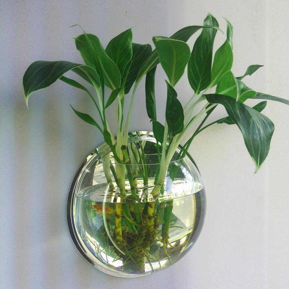 Glass Vase Wall Hanging Hydroponic Terrarium Fish Tanks Potted Plant Flower pot