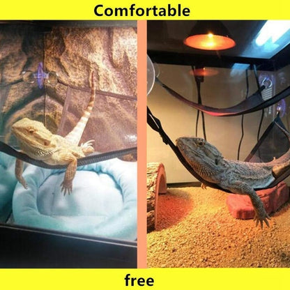 Reptile Hammock Lounger Ladder Accessories