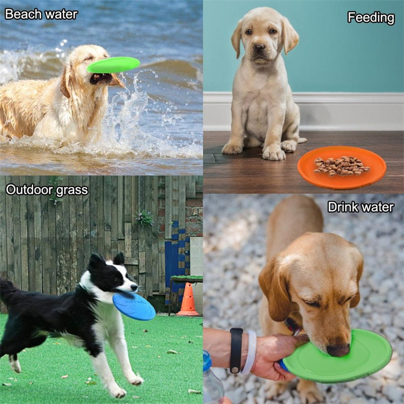 Fashion Dog Toy Flying Discs Pet Dogs