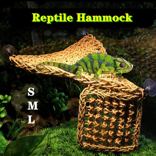 Reptile Hammock Natural Seagrass