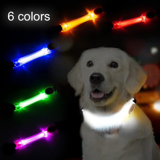 panDaDa Luminous Dog Collar