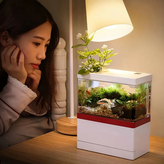 Mini Fish Tank with Filter and LED Light Aquarium