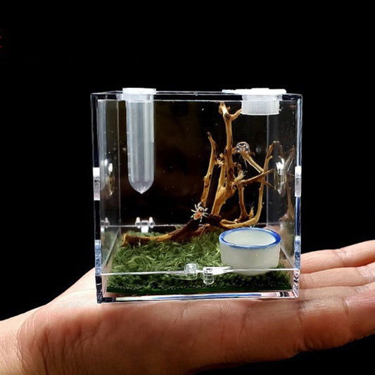 Small Reptiles Breeding Box Clear Acrylic Cage