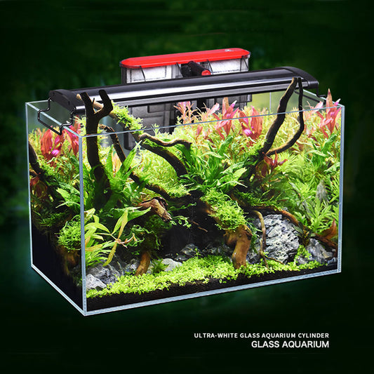 Ultra Clear Glass Akwarium  Fish Tank Filter LED Lighting