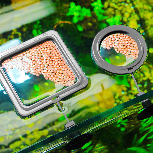 Aquarium Feeding Ring Fish Tank