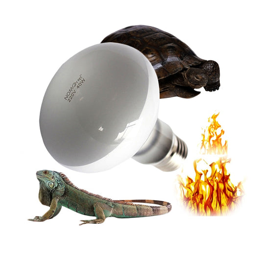 1 Pcs Reptile Heating Lamp