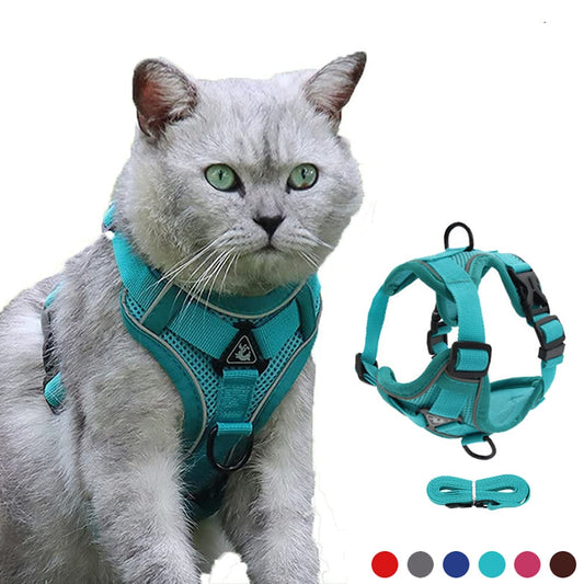 Breathable Cat Harness and Leash for Walking