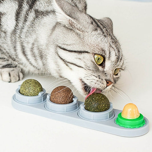 Pet Catnip Wall Ball Cat Toy