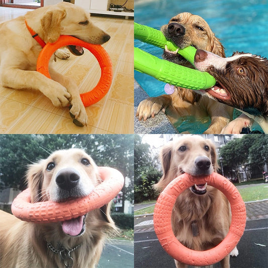 Dog Toys for Big Dogs
