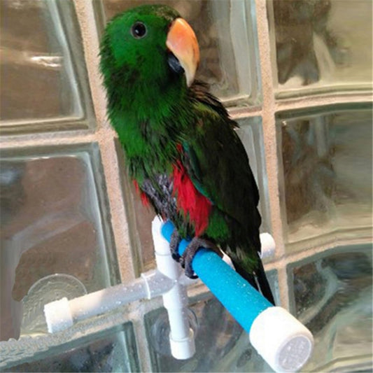 Pet Parrot Bath Shower Perches Standing Platform Rack