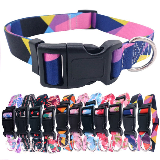 Geometry Color Large Sized Dog Collar