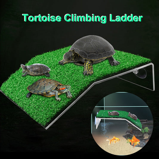 Turtle Basking Platform Turtle Habitat Simulation Lawn Ramp