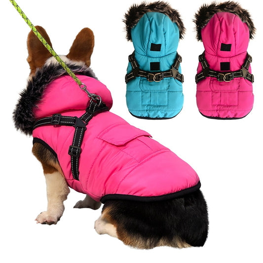 Winter Pet Dog Coat Dog Jacket