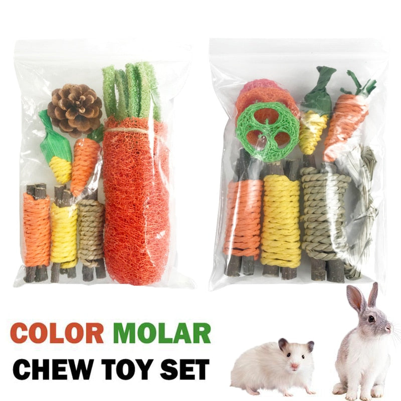 Small Animal Chew Toys