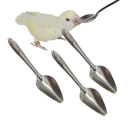 1-5 Pcs Pcs Bird Feeding Spoon