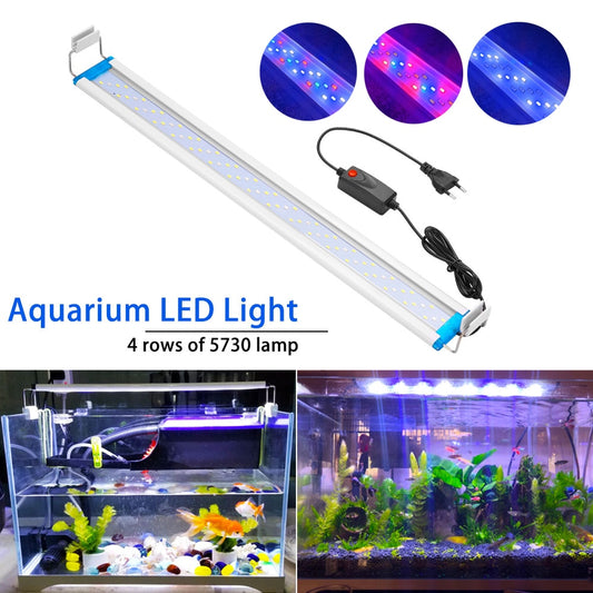 Super Slim LED Aquarium