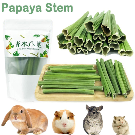 20g Rabbit Molar Papaya Stem Hamsters