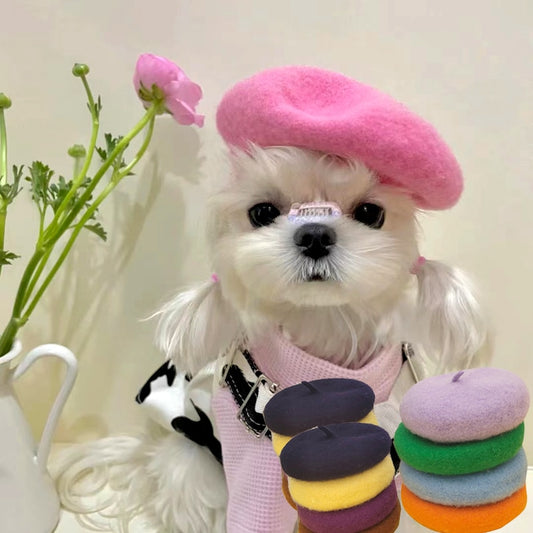 INS Pets Dog Hat Accessories Pets
