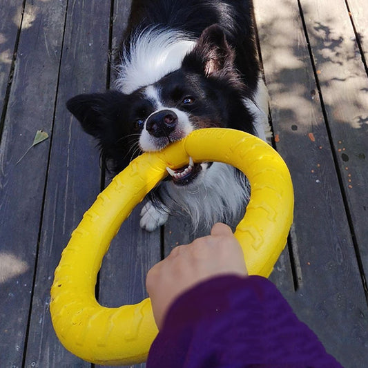 Dog Toys Pet Flying Discs Eva Training Ring