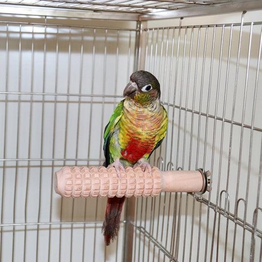 Bird Stand Stick Wooden Parrot Stand Bar Bird Cage