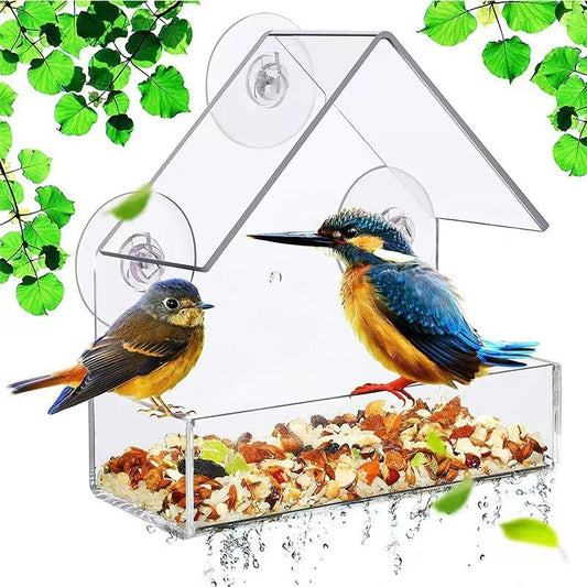 Bird Feeder Transparent House