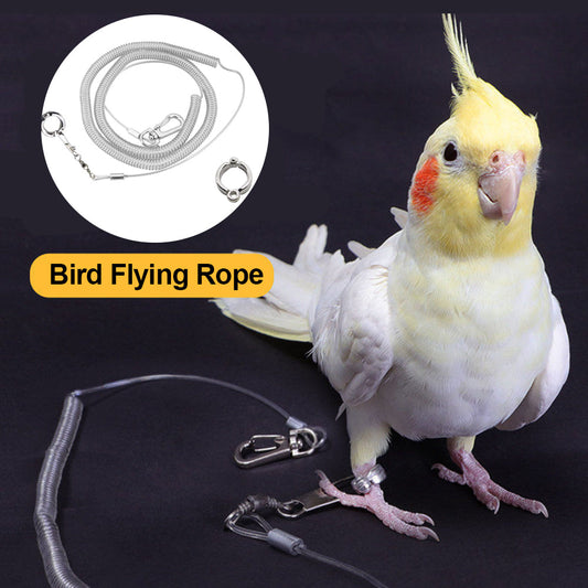 Parrot Bird Flying Training Leash Ultra-light Flexible Rope