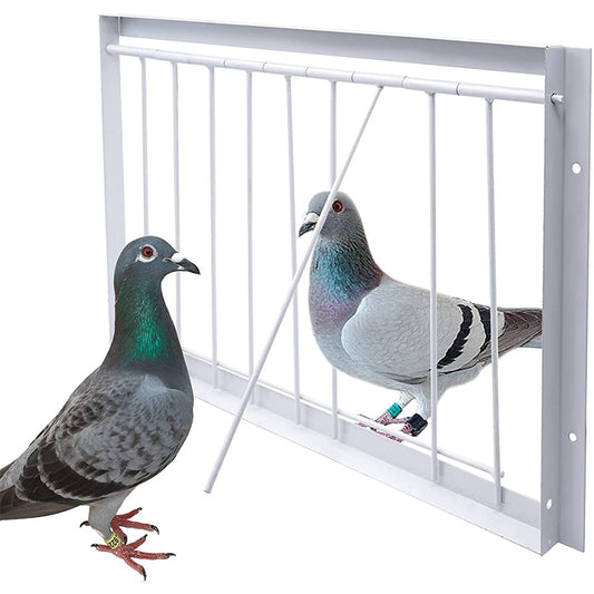 Pigeon Door Wire Bars