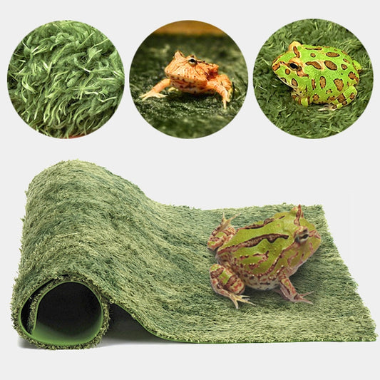 DIY Simulation Moss Carpet