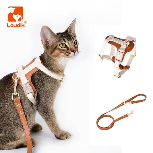 Loudik Fashion Soft Cat Harness and Leash Set