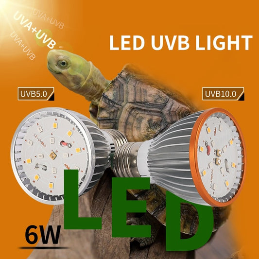 2023 Full Specstrum UVA UVB Reptile Light Bulb