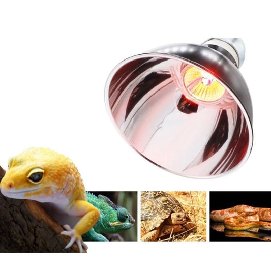 Pet heating lamp  for Tortoise Lizard Frog Snake