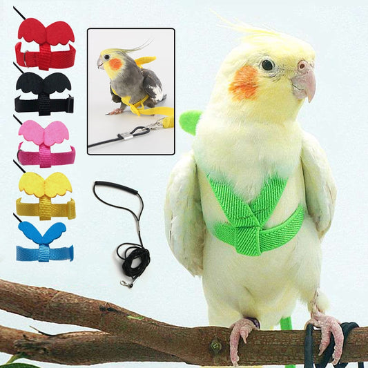 Training Bird Harness Leash Set Parrot Flying Harness Bird Walking Tool