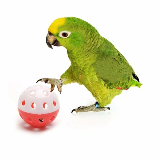 5pcs Pet Parrot Toy Colorful Hollow Rolling Bell