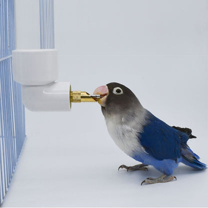 Parrot Drinking Kettle