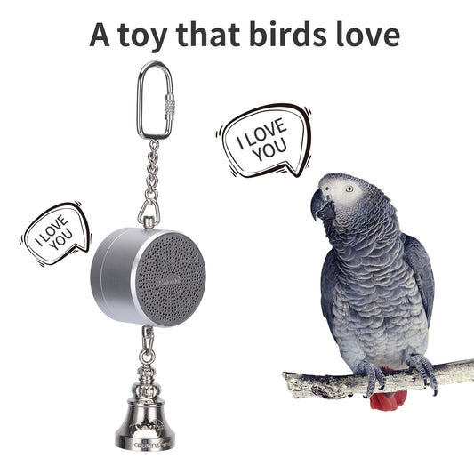 Parrot Toys to Teaching Training Bird