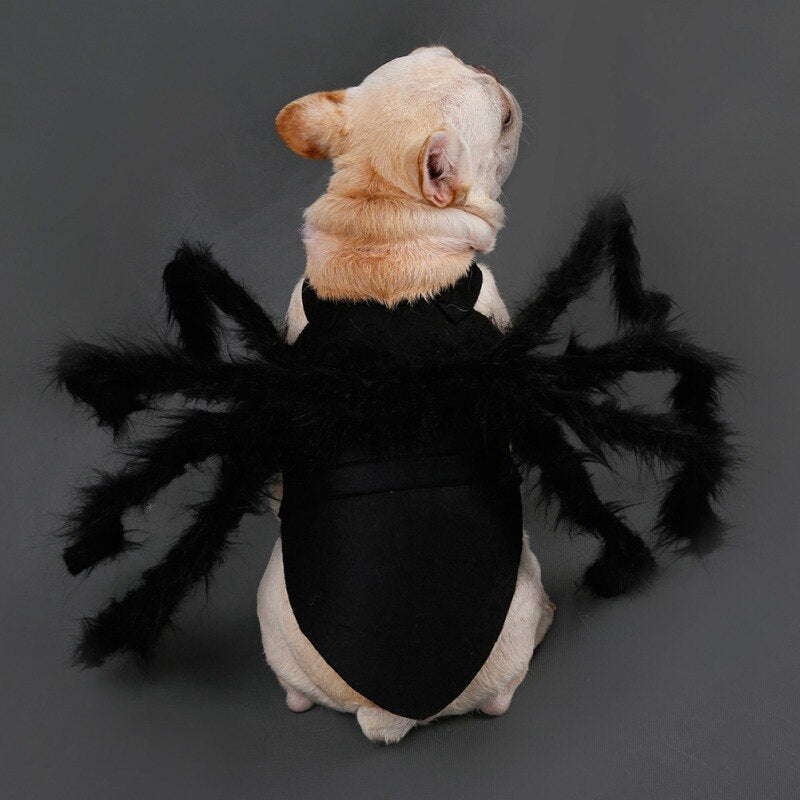 Halloween Pet Dog Cat Spider Clothes