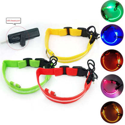 Luminous Dog Collar Led USB Collar
