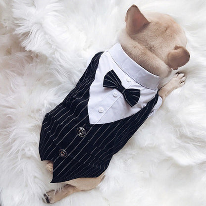 Gentleman Dog Clothes Wedding Suit