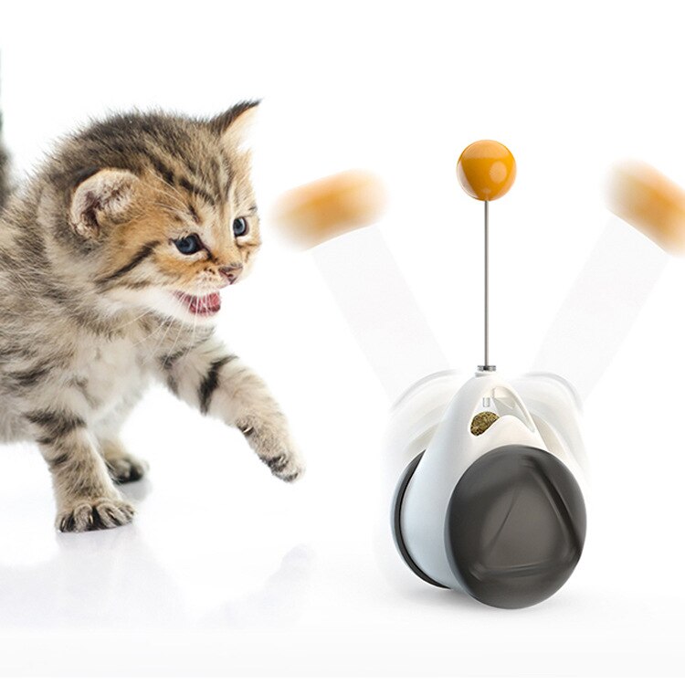 Pet Cat Unblocking Self-healing Balance Swing Car Funny Cat Toy