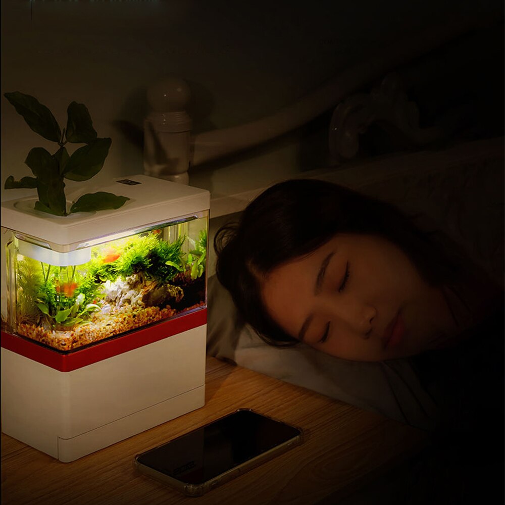 Mini Fish Tank with Filter and LED Light Aquarium