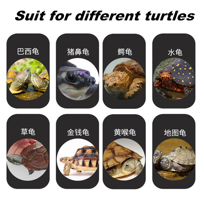 Nutritious Aquarium Reptile Turtle Food