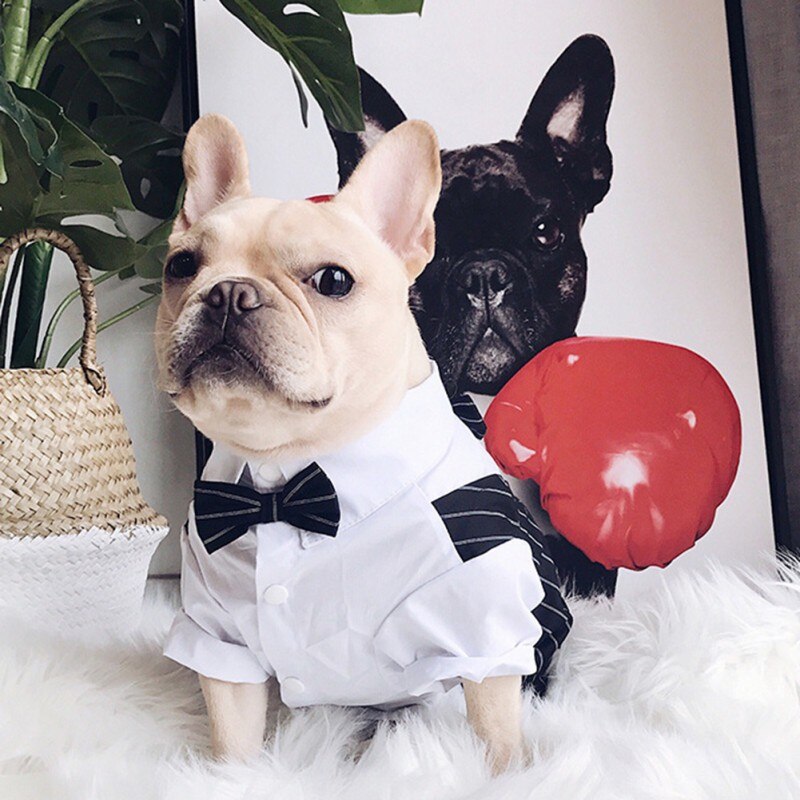 Gentleman Dog Clothes Wedding Suit