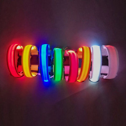 Luminous Dog Collar Led USB Collar
