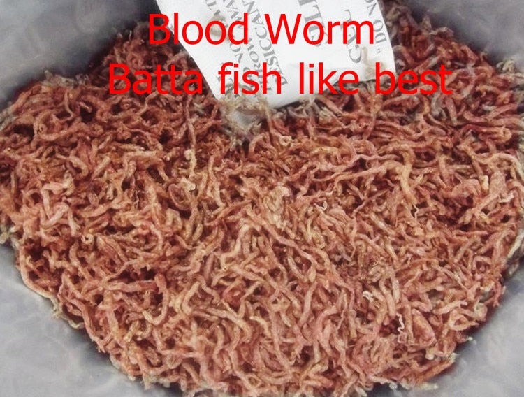 New 500ML Freeze Dried Blood Insect Red Worm