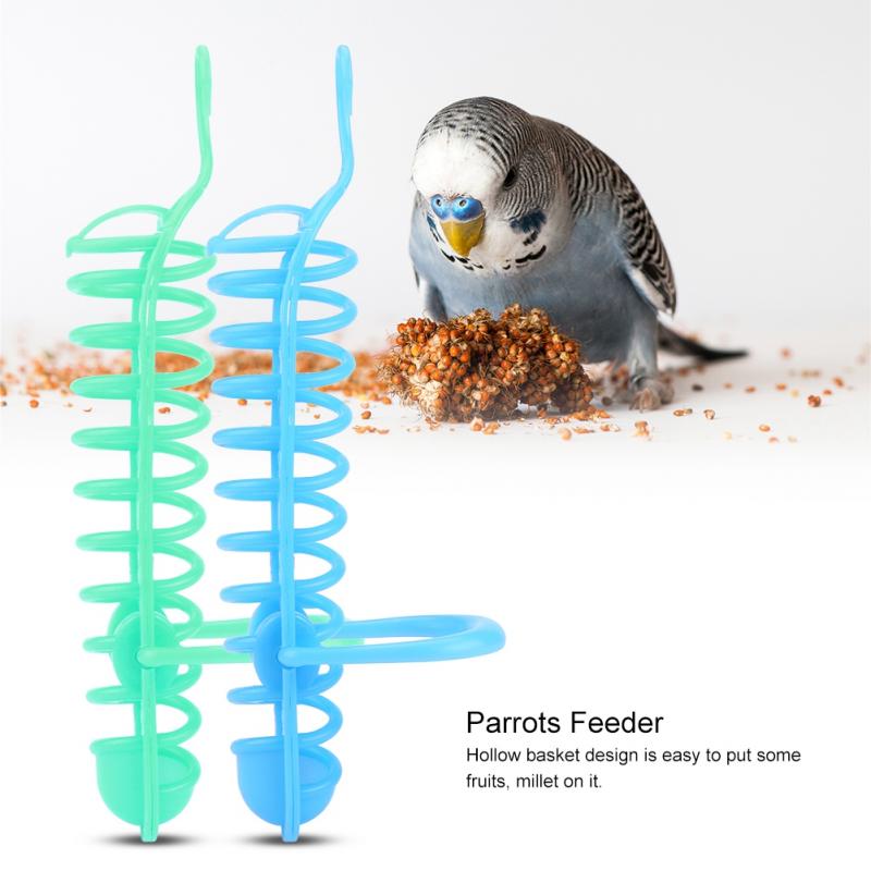 New Pet Parrot Feeder