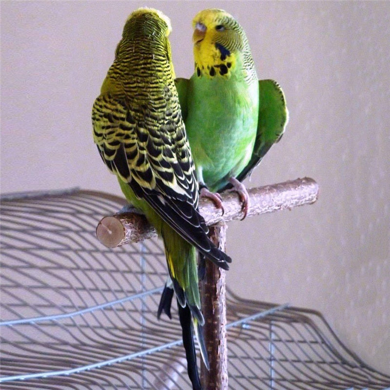 Pet Parakeet Budgie Hanging Play Toys