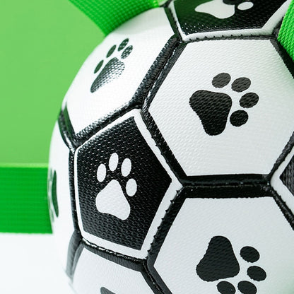 Dog Training Interactive Football Toys