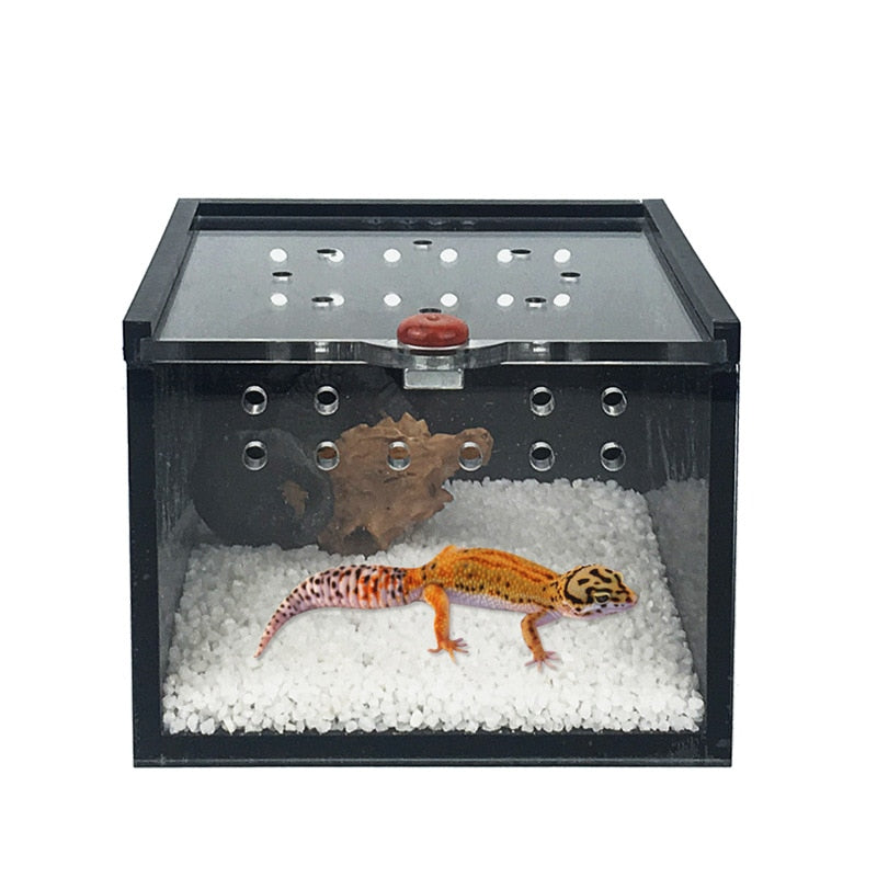 Spider Box Crawler Pet Feeding Palace