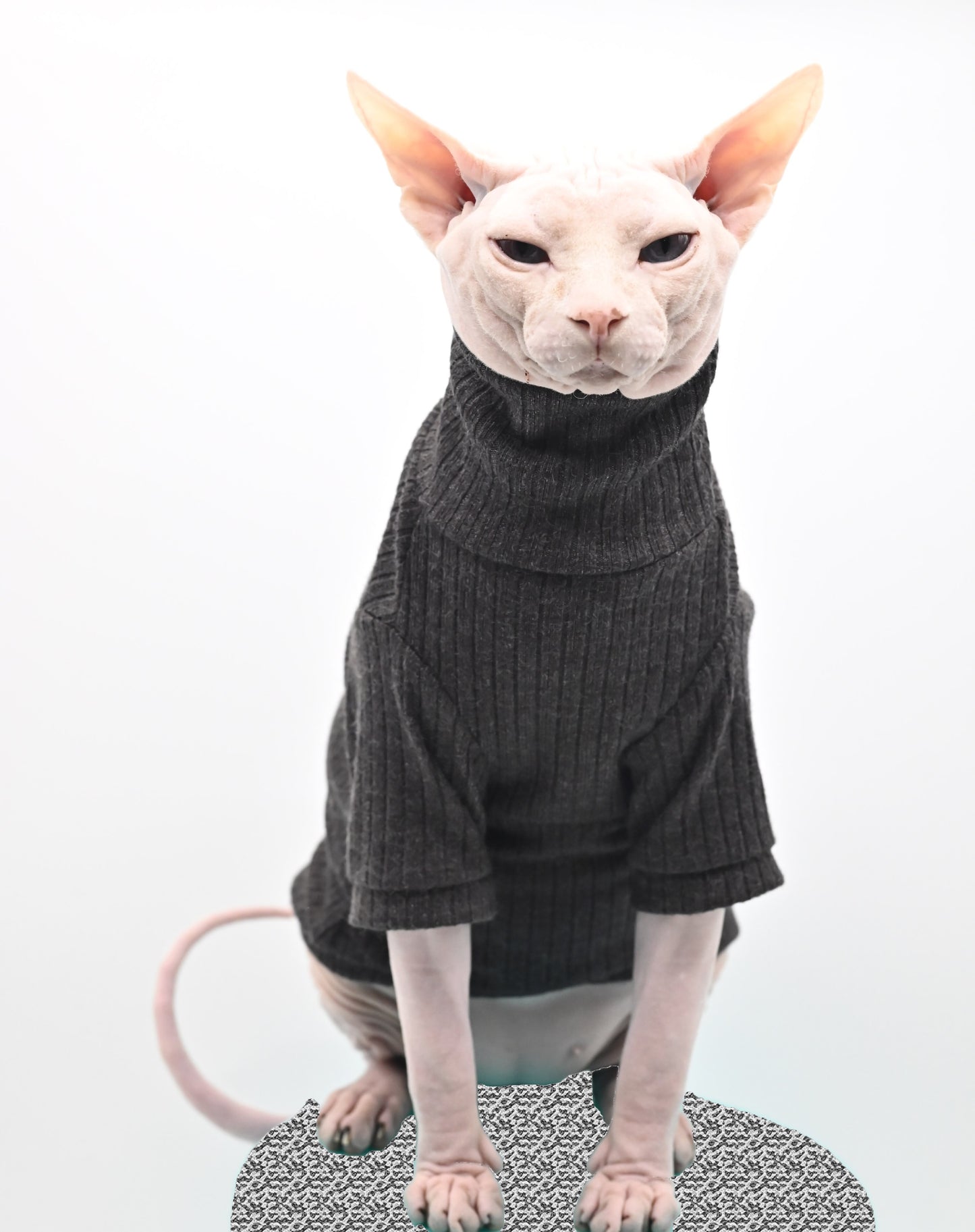DUOMASUMI Hairless Cat Clothes
